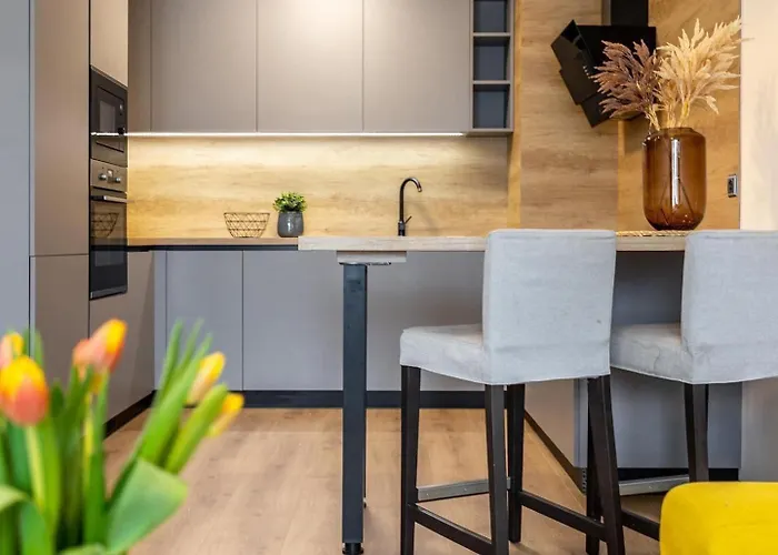 Luxury Centre-vusch 2 Parking Included Appartement Košice